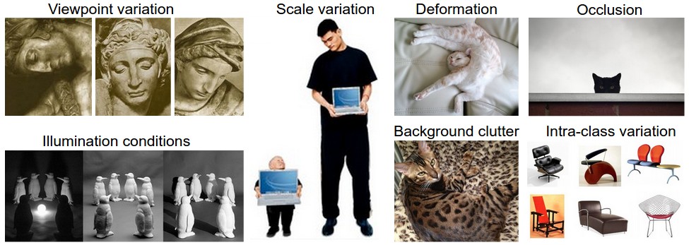 Image Classification Challenges